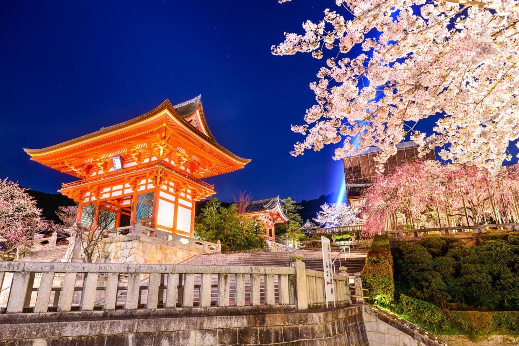 Osaka - Hotel / Vacation Stay 65254 외부 사진